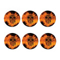 Fire Skull Print Coaster Set