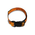 Fire Skull Print Dog Collar