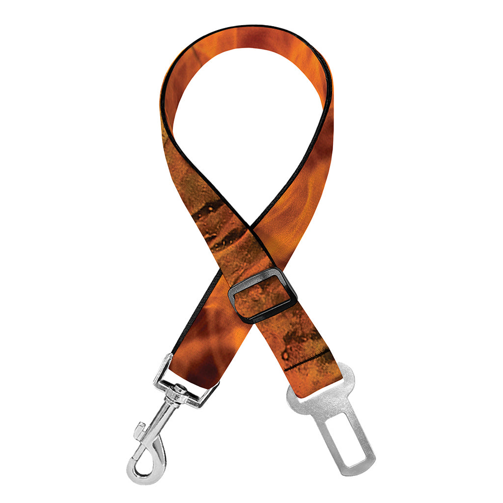 Fire Skull Print Dog Seat Belt