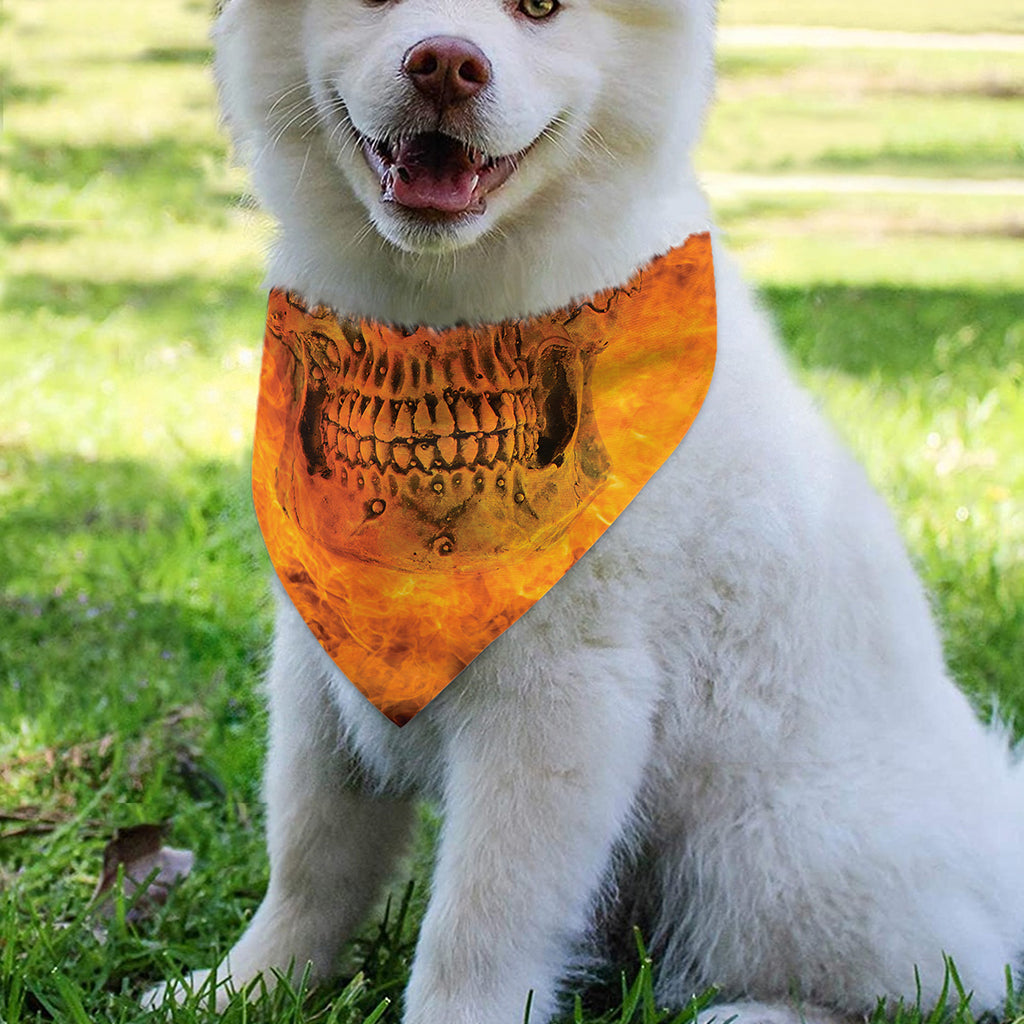 Fire Skull Print Over The Collar Dog Bandana