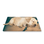 Fishing Hooks Print Pet Cooling Mat Cover