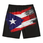 Flag Of Puerto Rico Print Men's Swim Trunks