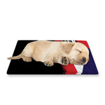 Flag Of Puerto Rico Print Pet Cooling Mat Cover