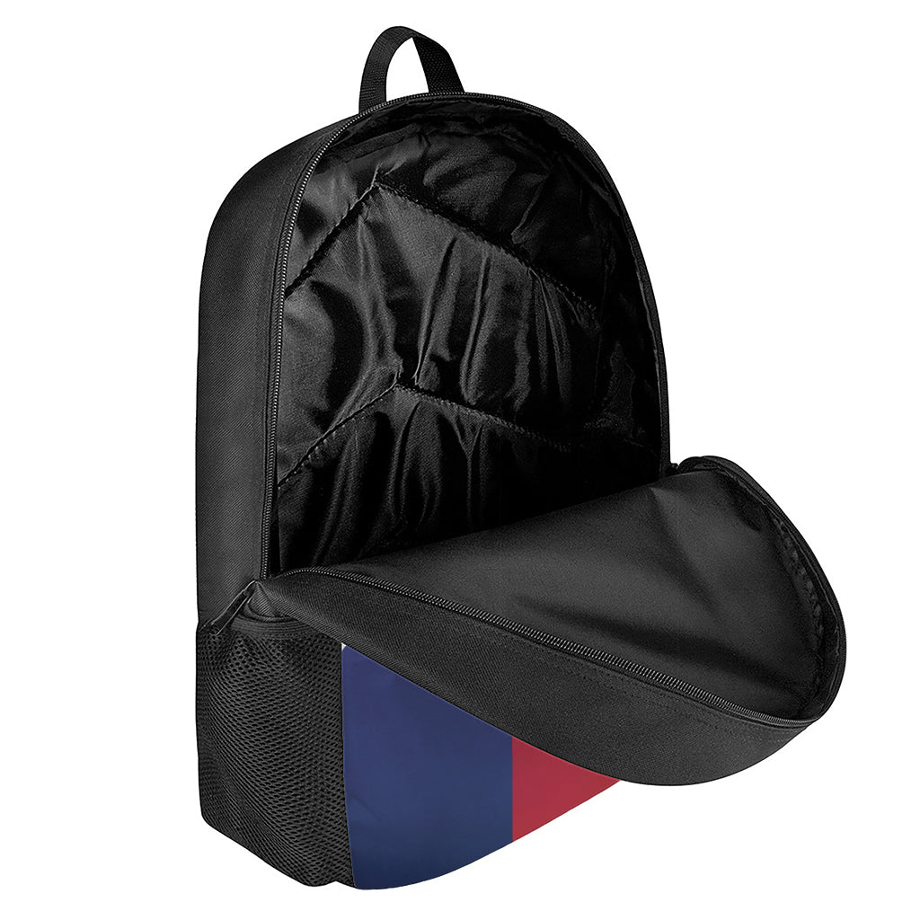 Flag Of Texas Print 17 Inch Backpack