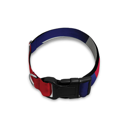 Flag Of Texas Print Dog Collar