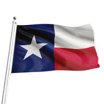 Flag Of Texas Print Flag