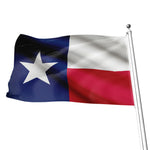 Flag Of Texas Print Flag