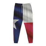 Flag Of Texas Print Jogger Pants