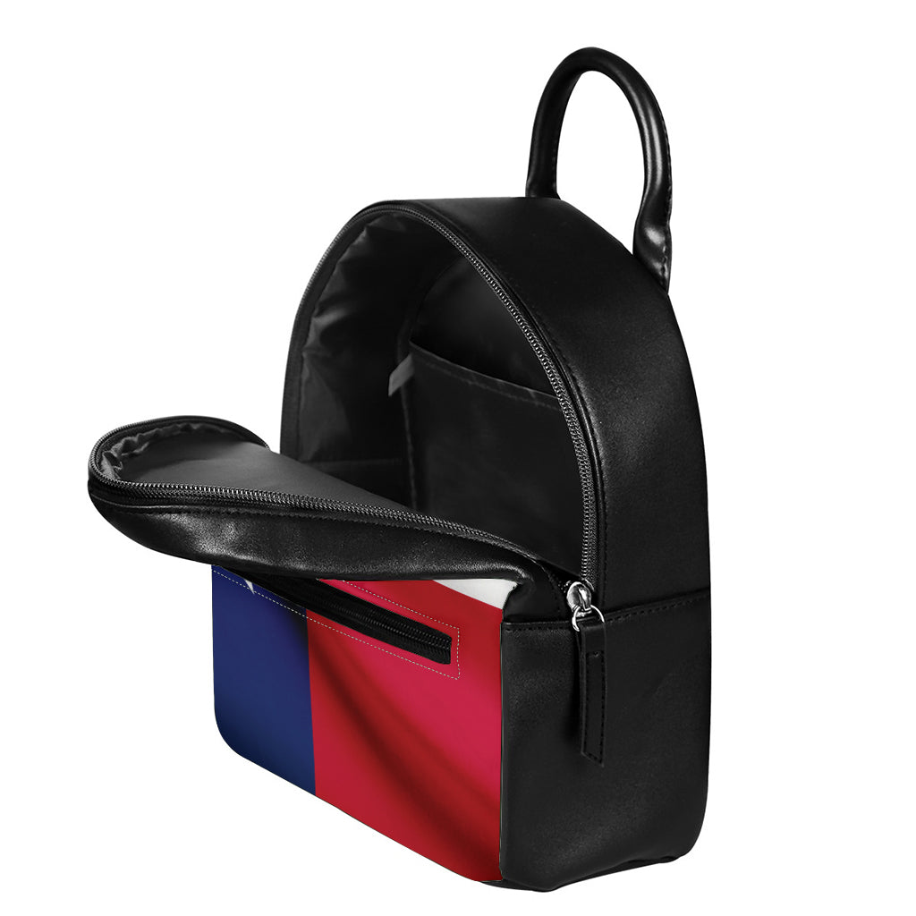 Flag Of Texas Print Leather Backpack
