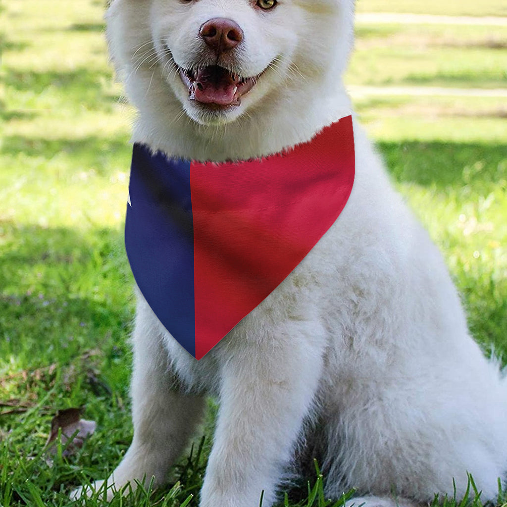 Flag Of Texas Print Over The Collar Dog Bandana
