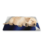 Flag Of Texas Print Pet Cooling Mat Cover