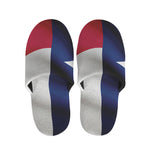 Flag Of Texas Print Slippers