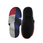 Flag Of Texas Print Slippers