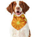 Flame Kaleidoscope Print Dog Bandana