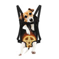 Flame Pentagram Print Pet Carrier Backpack