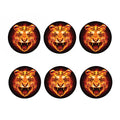 Flame Tiger Print Coaster Set