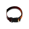 Flame Tiger Print Dog Collar