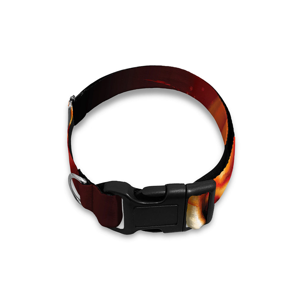 Flame Tiger Print Dog Collar
