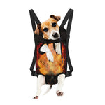 Flaming Demon Skull Print Pet Carrier Backpack