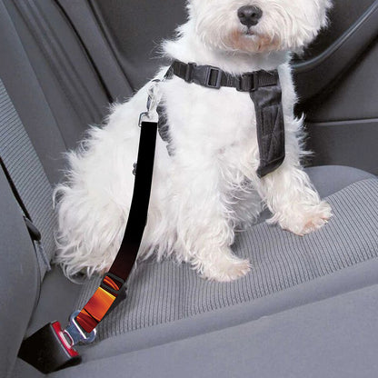 Flaming Evil Skull Print Dog Seat Belt