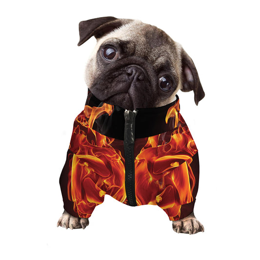 Flaming Evil Skull Print Dog Zip Up Jacket