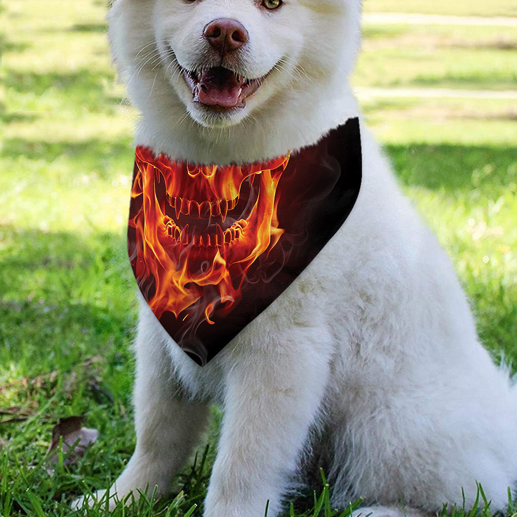 Flaming Evil Skull Print Over The Collar Dog Bandana