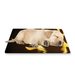 Flaming Pentagram Symbol Print Pet Cooling Mat Cover