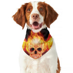 Flaming Skull With Fire Wings Print Dog Bandana