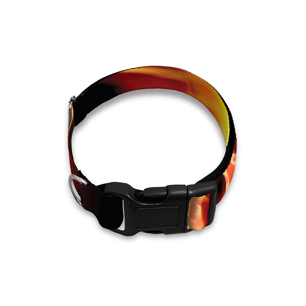 Flaming Skull With Fire Wings Print Dog Collar