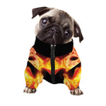 Flaming Skull With Fire Wings Print Dog Zip Up Jacket
