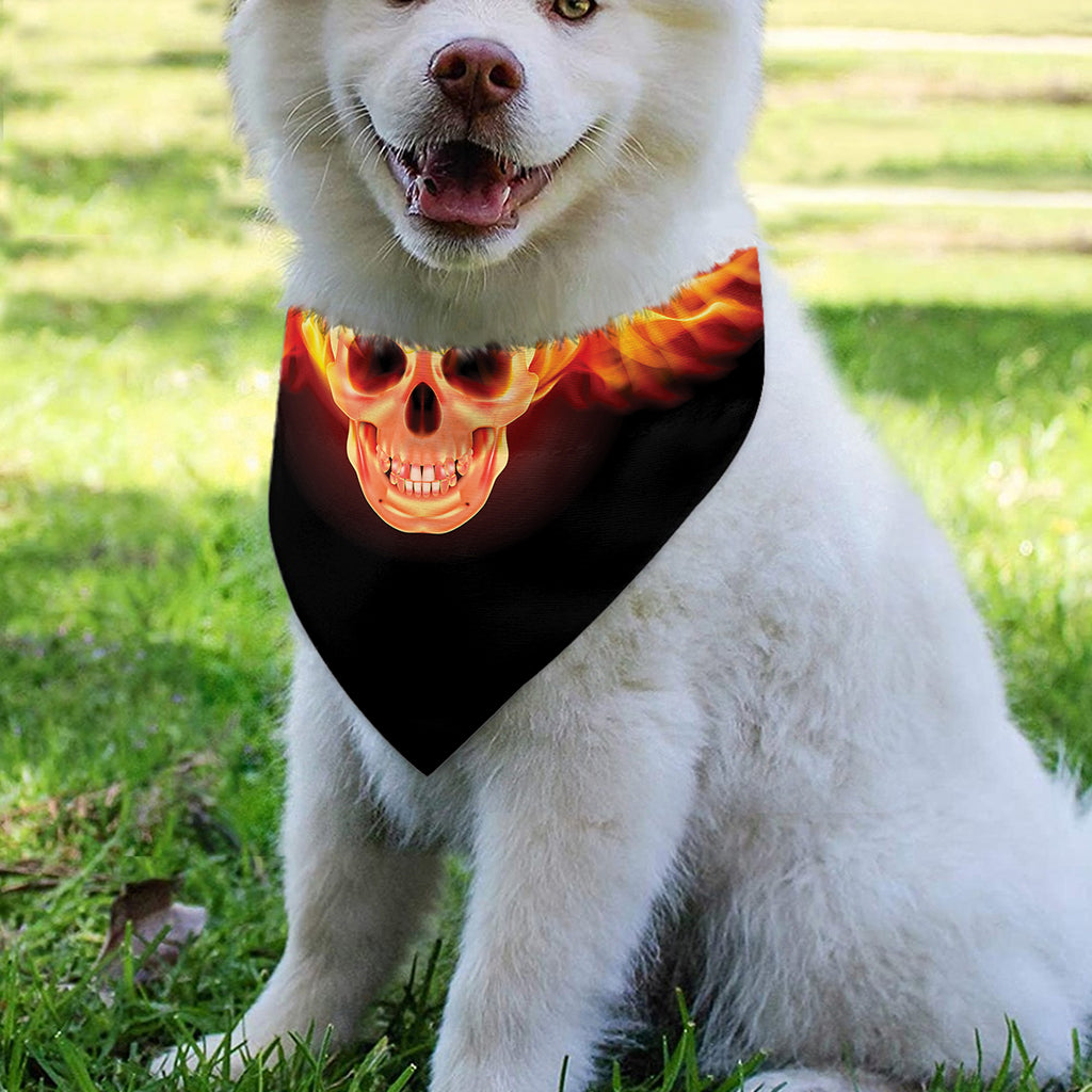 Flaming Skull With Fire Wings Print Over The Collar Dog Bandana