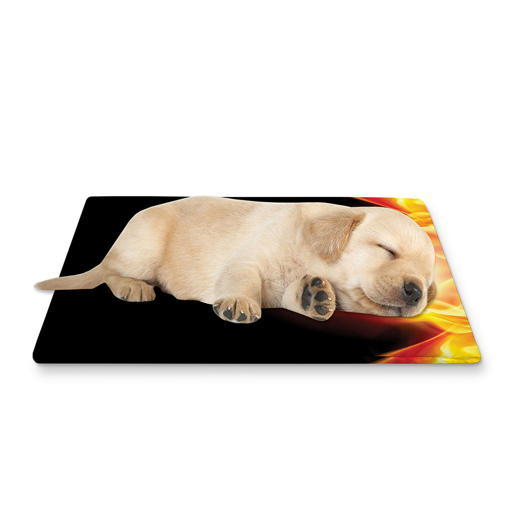 Flaming Skull With Fire Wings Print Pet Cooling Mat Cover