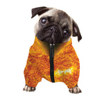 Flaming Sun Print Dog Zip Up Jacket