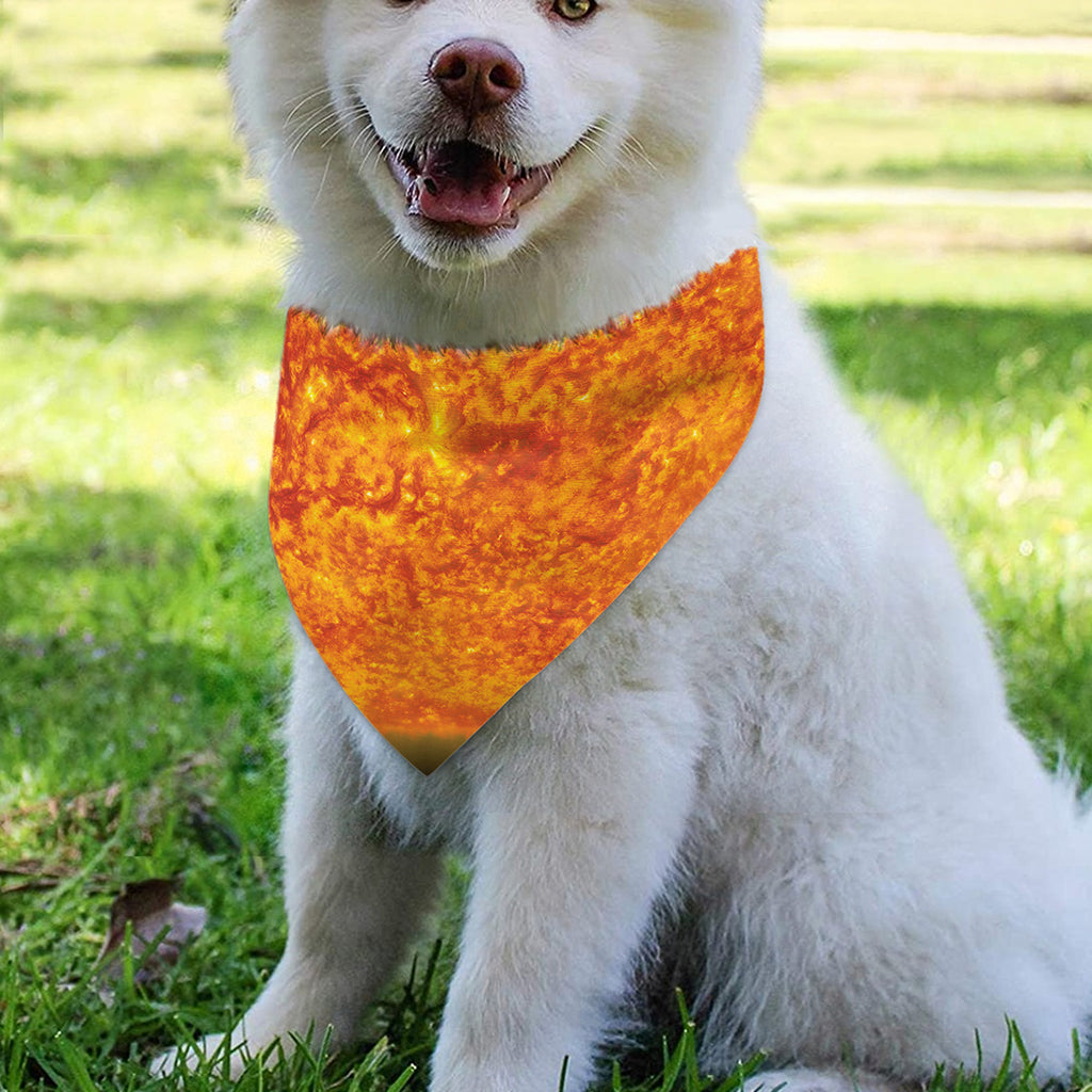 Flaming Sun Print Over The Collar Dog Bandana