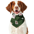 Flying Poker Cards Print Dog Bandana