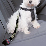 Flying US Dollar Print Dog Seat Belt