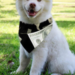 Flying US Dollar Print Over The Collar Dog Bandana