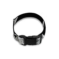 Flying USD Print Dog Collar