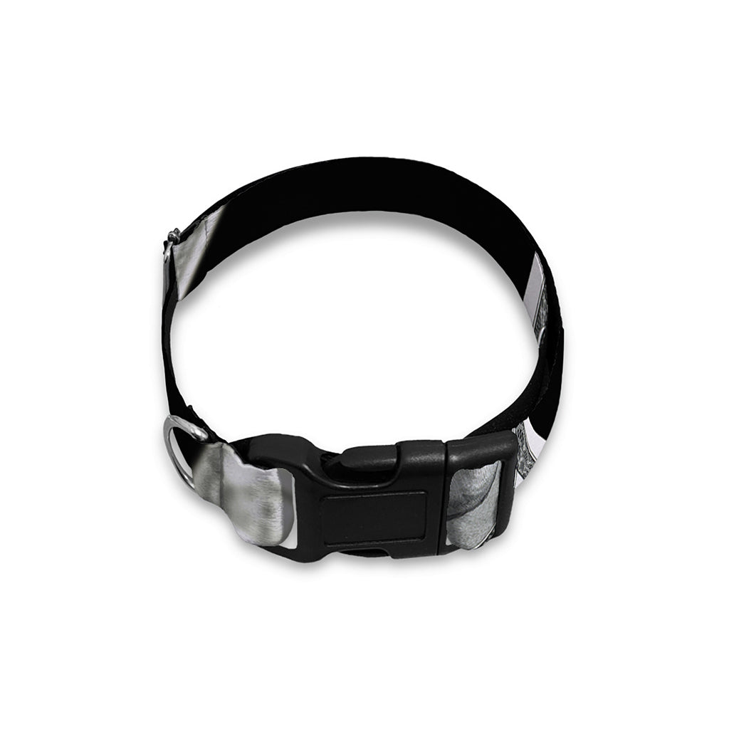Flying USD Print Dog Collar