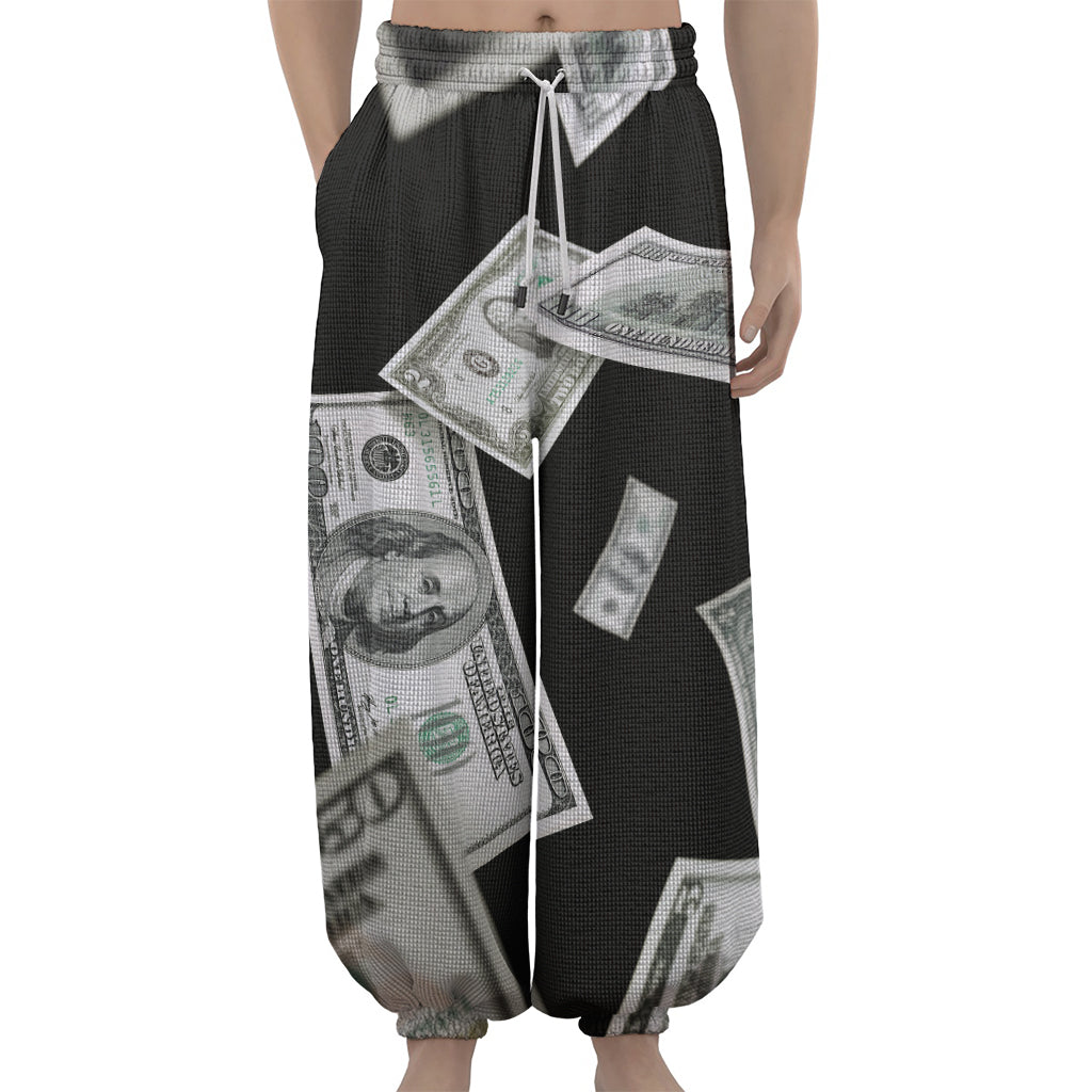 Flying USD Print Lantern Pants