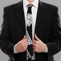 Flying USD Print Necktie