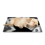 Flying USD Print Pet Cooling Mat Cover