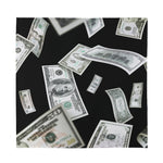 Flying USD Print Silk Bandana