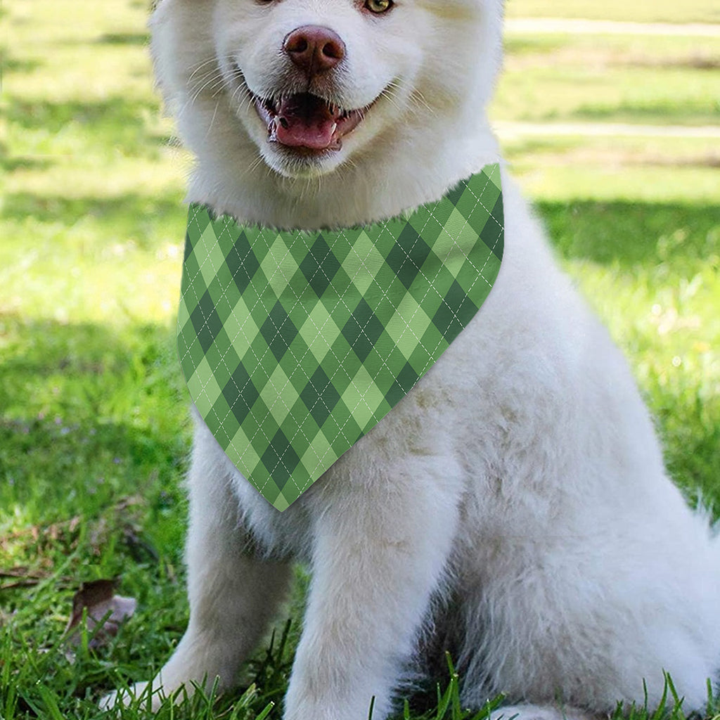 Forest Green Argyle Pattern Print Over The Collar Dog Bandana