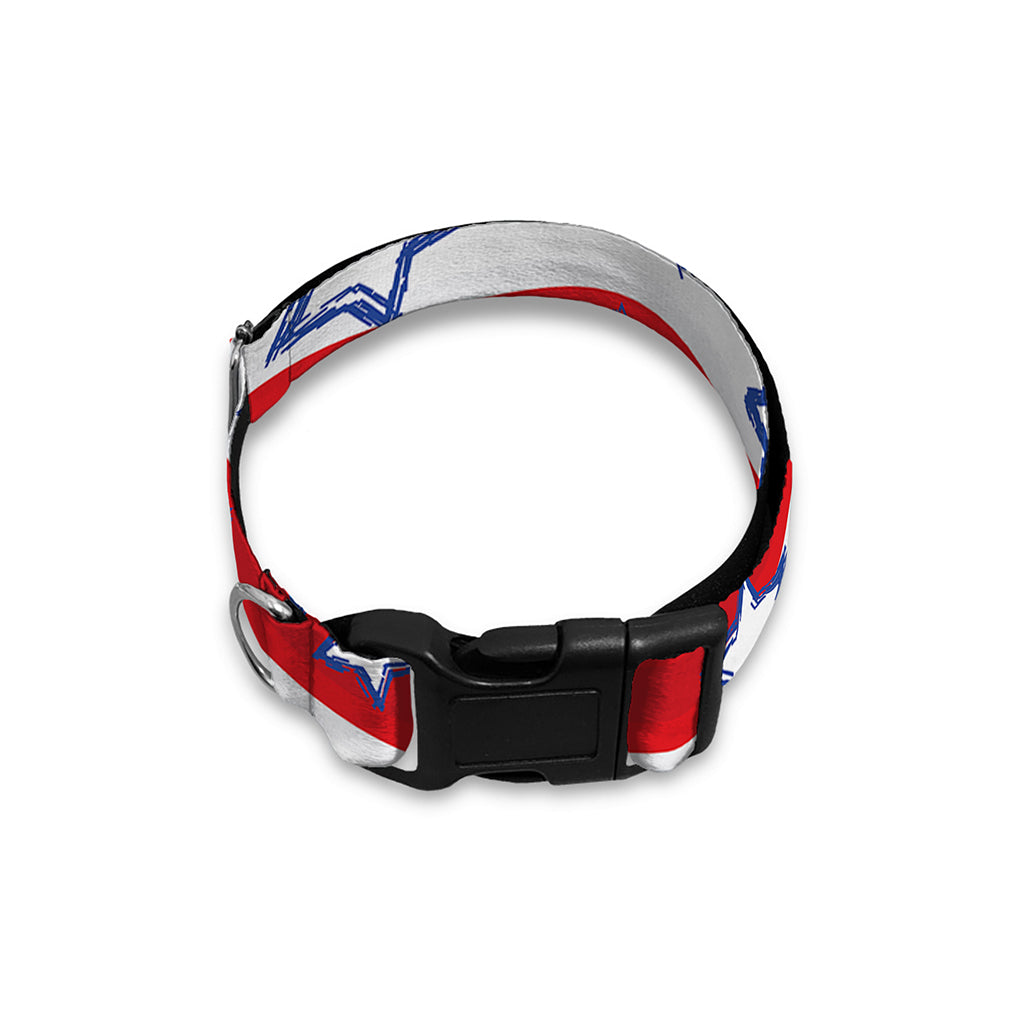 Fourth of July USA Star Pattern Print Dog Collar