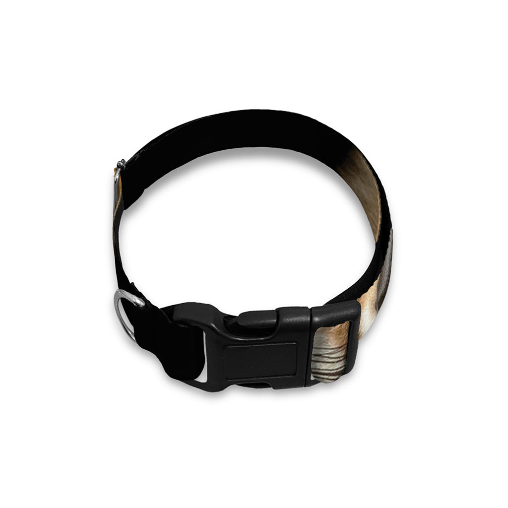 Fox Portrait Print Dog Collar
