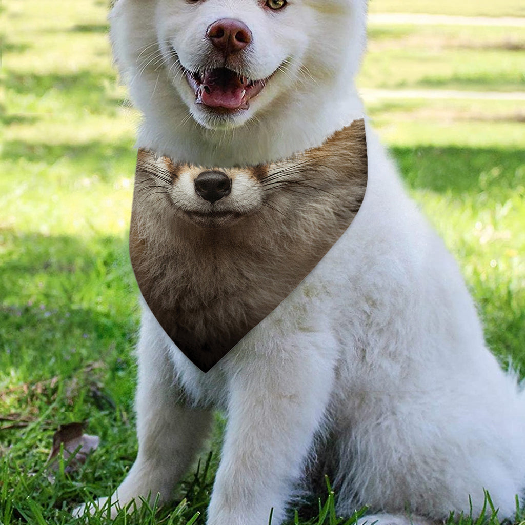 Fox Portrait Print Over The Collar Dog Bandana