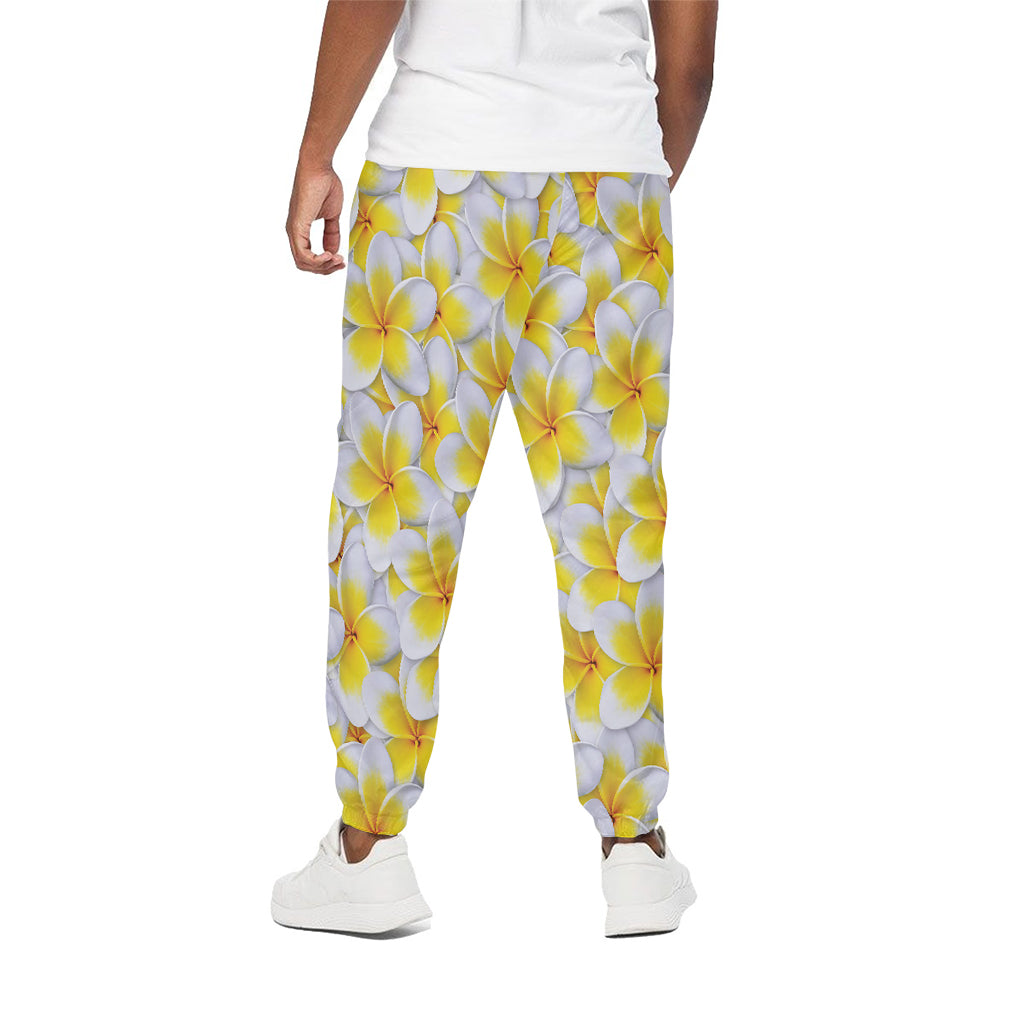 Frangipani Flower Print Cotton Pants