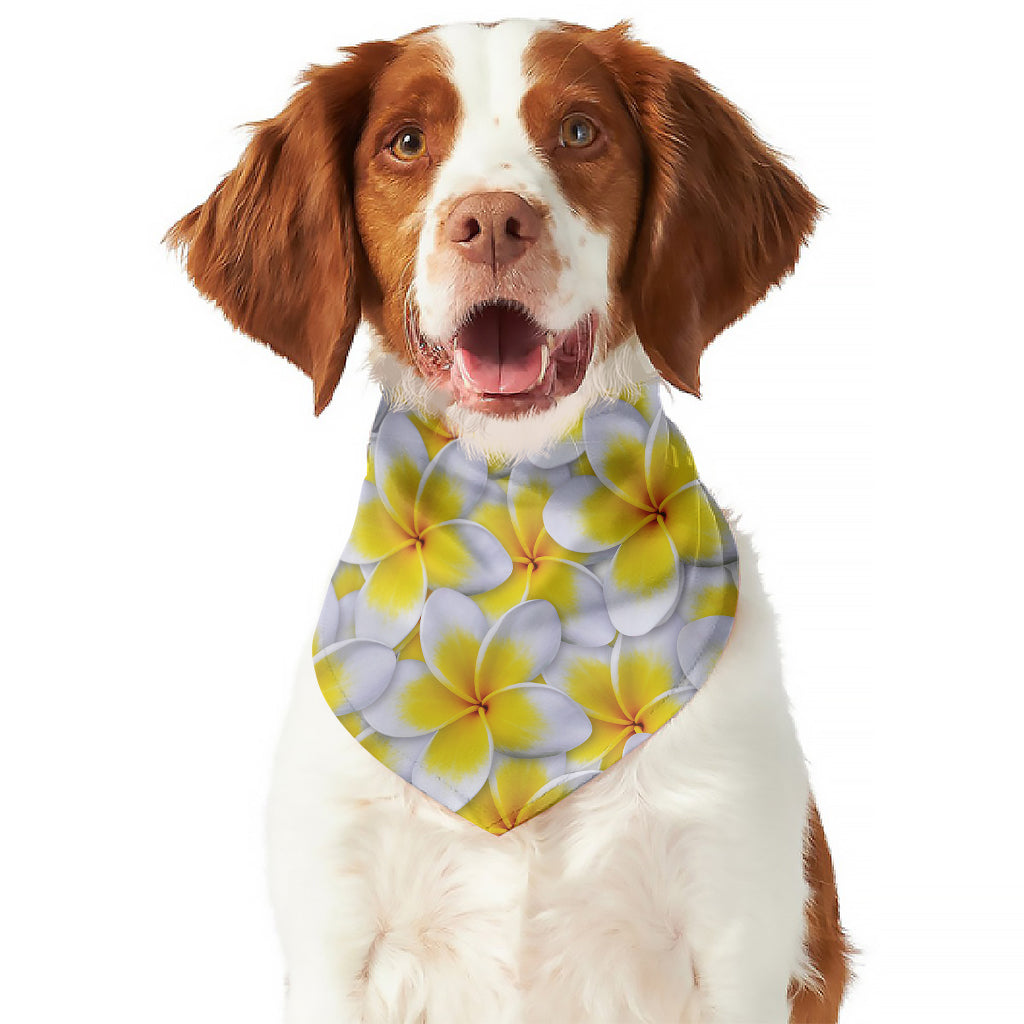 Frangipani Flower Print Dog Bandana