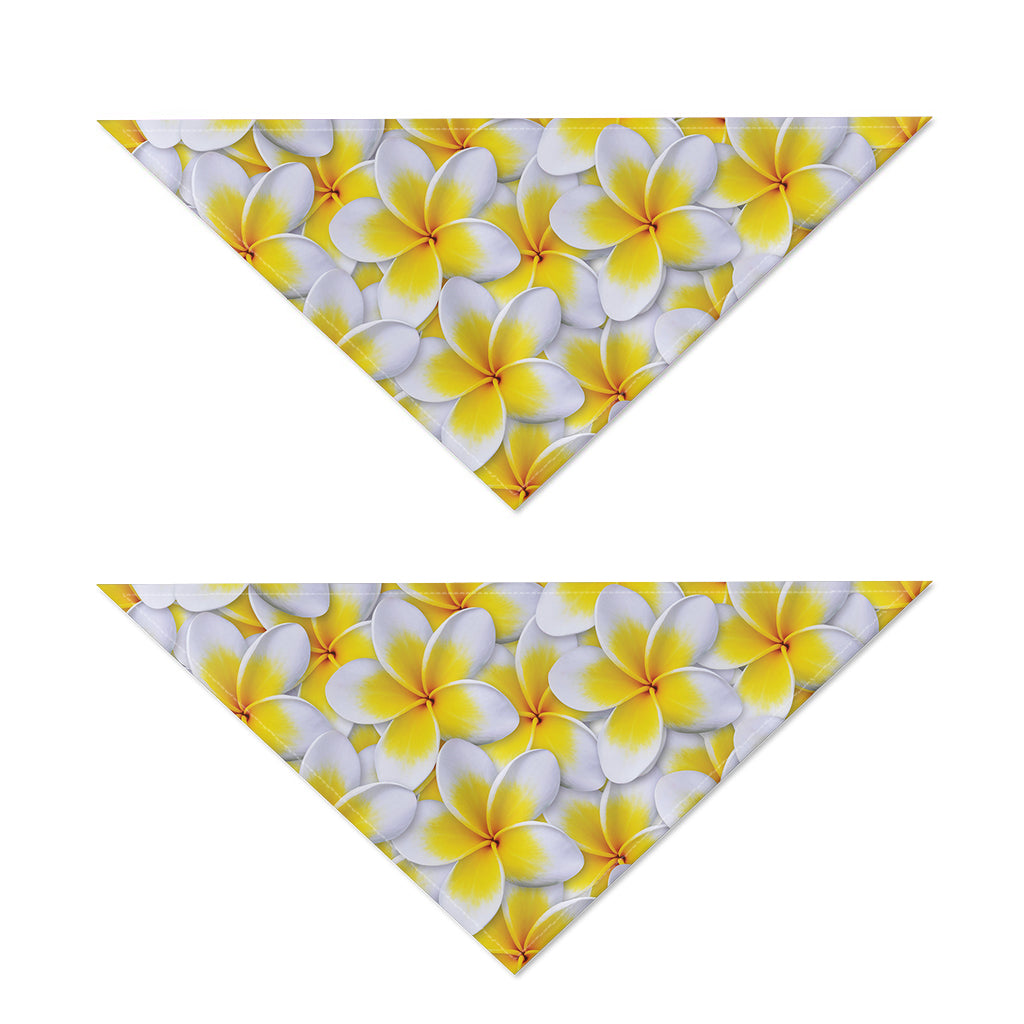 Frangipani Flower Print Dog Bandana